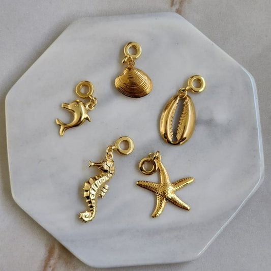Pendientes Marinos Acero